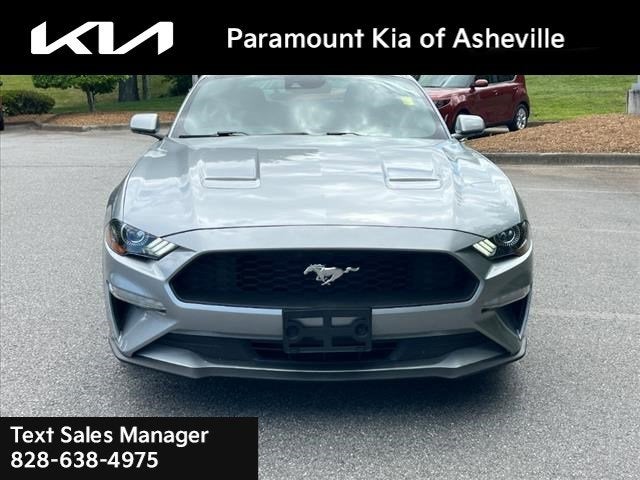 2021 Ford Mustang EcoBoost in Hickory , NC - Paramount Automotive